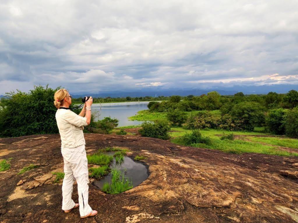 Mahoora Tented Safari Camp Udawalawe Ngoại thất bức ảnh