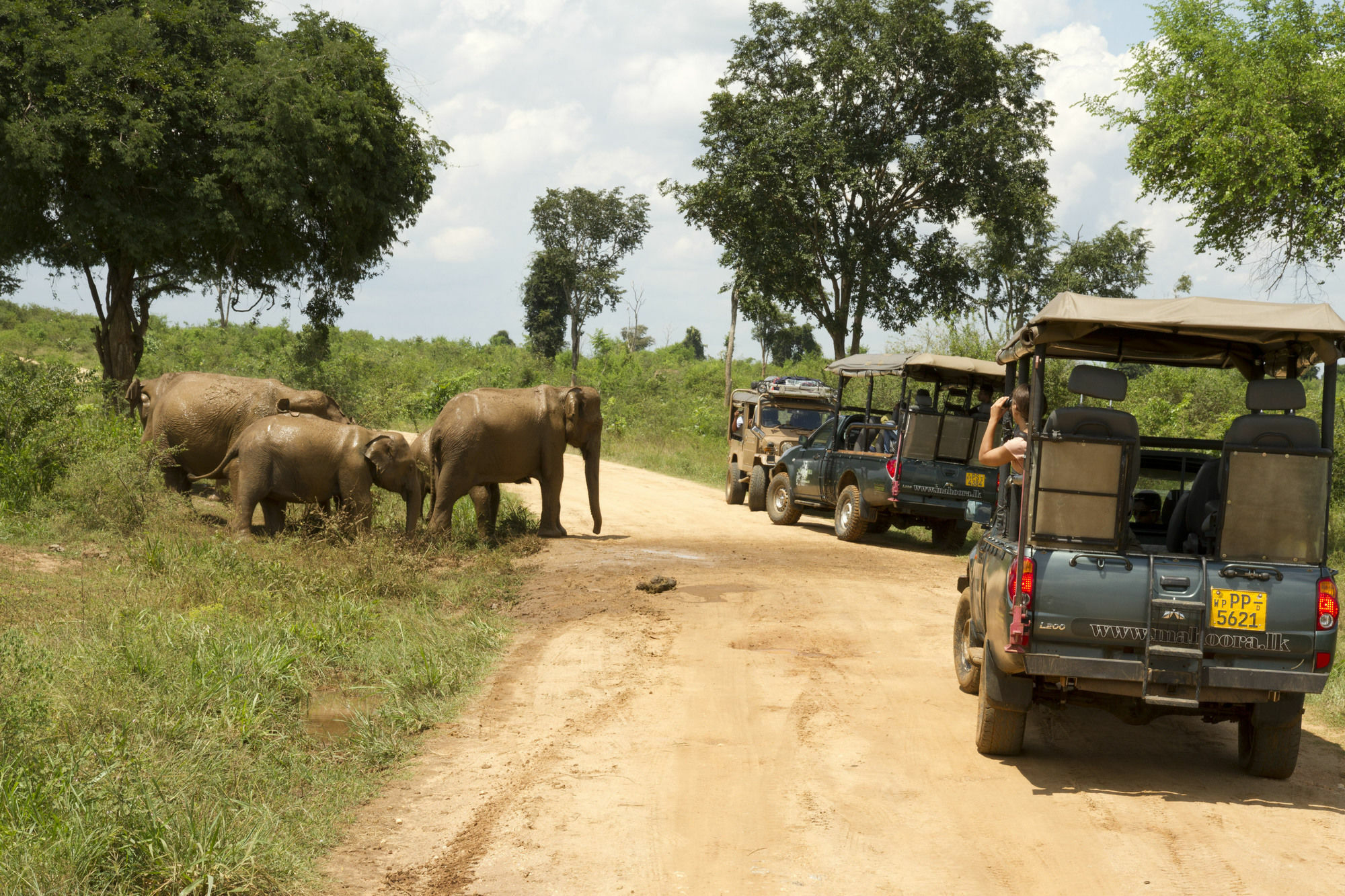 Mahoora Tented Safari Camp Udawalawe Ngoại thất bức ảnh