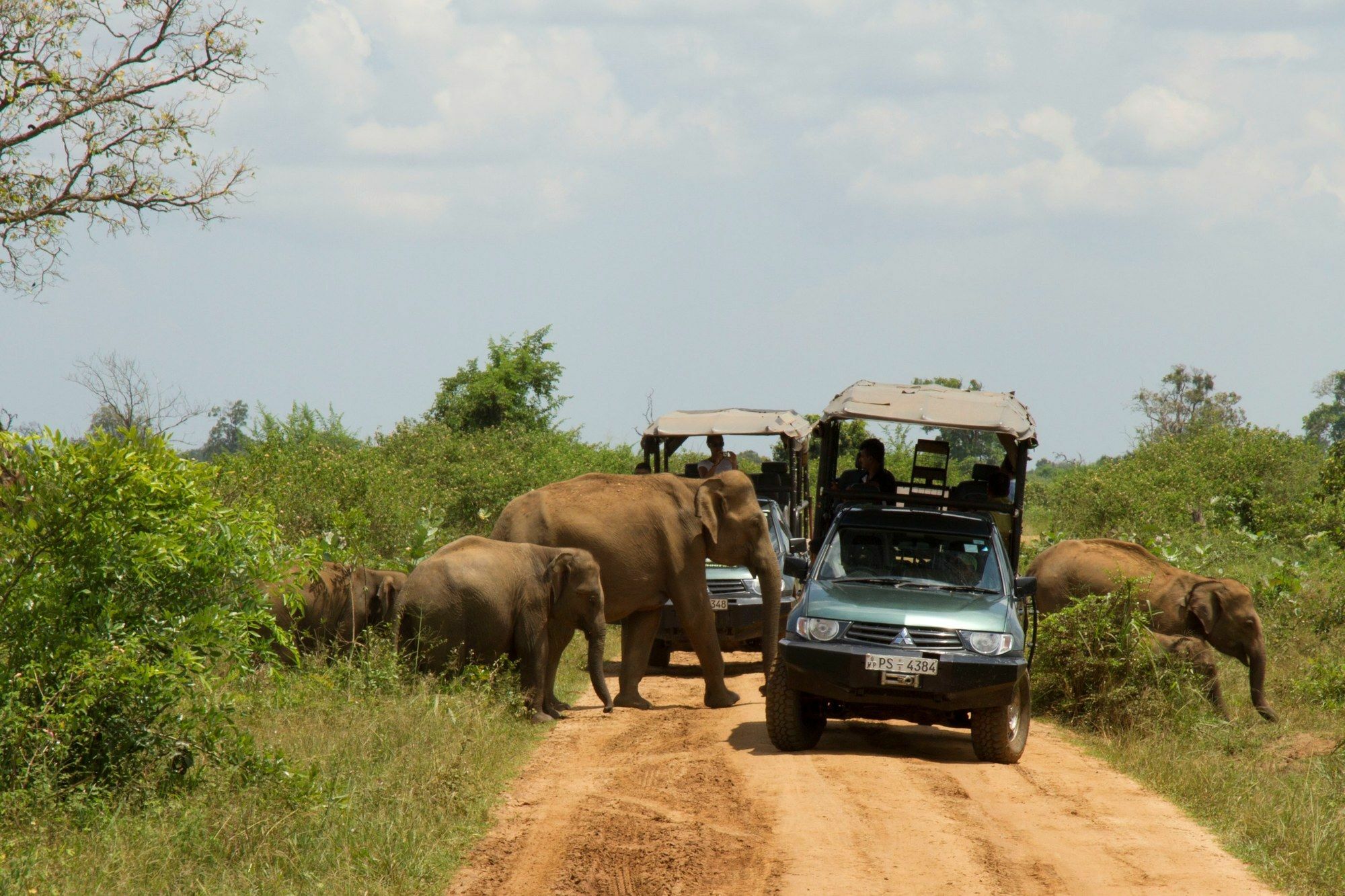Mahoora Tented Safari Camp Udawalawe Ngoại thất bức ảnh
