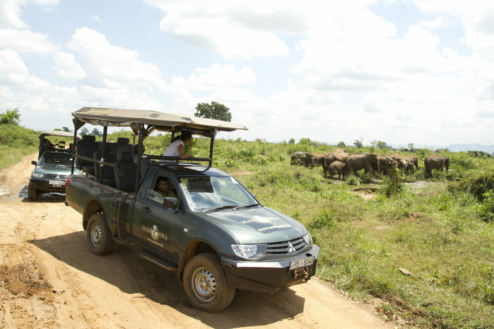 Mahoora Tented Safari Camp Udawalawe Ngoại thất bức ảnh
